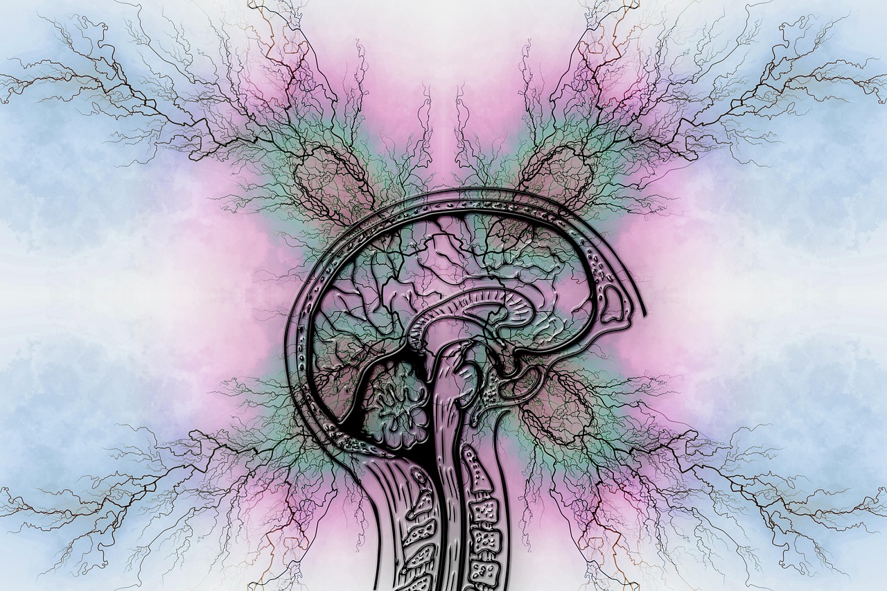 systemenerveuxrlaxation